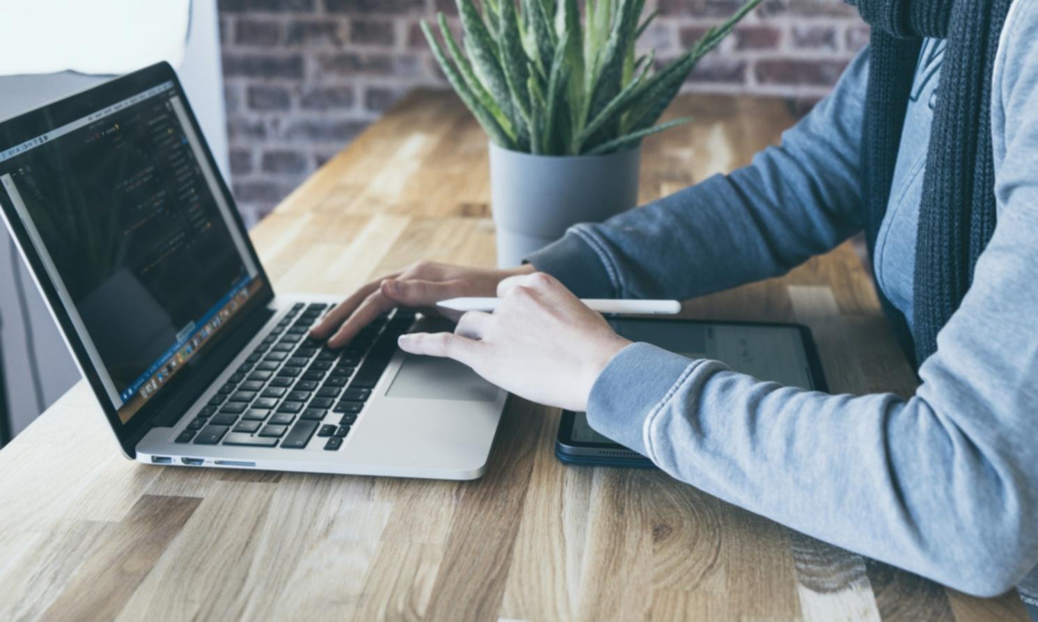 pholvarexin team collaborating on business planning frameworks in Sydney office